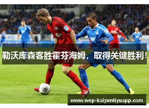 勒沃库森客胜霍芬海姆，取得关键胜利！