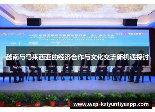 越南与马来西亚的经济合作与文化交流新机遇探讨